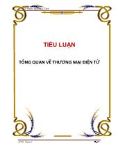 Tiểu luận Tổng quan về thương mại điện tử