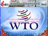 Việt Nam trong tiến trình hội nhập WTO, giải pháp để các doanh nghiệp thành công ( áp dụng cho doanh nghiệp Việt Nam )