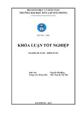 Hoàn thiện công tác kế toán doanh thu, chi phí và xác định kết quả kinh doanh tại công ty trách nhiệm hữu hạn tiếp vận Hải Long