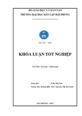 Hoàn thiện công tác kế toán doanh thu, chi phí và xác định kết quả kinh doanh tại công ty TNHH một thành viên Nam Triệu