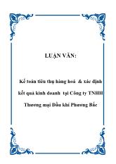 Kế toán tiêu thụ hàng hoá & xác định kết quả kinh doanh tại Công ty TNHH Thương mại Dầu khí Phương Bắc