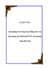 Luận văn Giải pháp mở rộng hoạt động cho vay tiêu dùng tại Ngân hàng nông nghiệp & Phát triển nông thôn chi nhánh Nam Hà Nội
