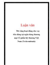 Luận văn Mở rộng hoạt động cho vay tiêu dùng tại ngân hàng thương mại Cổ phần Kỹ thương Việt Nam (Techcombank)