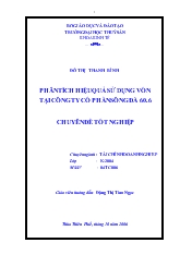 Phân tích hiệu quả sử dụng vốn tại công ty cổ phần Sông Đà 60.6