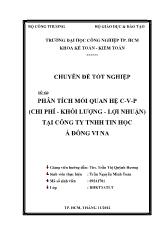 Phân tích mối quan hệ C-V-P (chi phí - khối lượng - lợi nhuận) tại công ty TNHH tin học Á Đông Vi Na