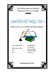Phân tích tình hình tài chính doanh nghiệp của Công ty cổ phần thương mại vận tải Hoàng Hà