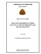 Phân tích tình hình tài chính tại công ty trách nhiệm hữu hạn Huỳnh Thanh Sơn