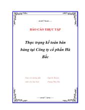 Thực trạng kế toán bán hàng tại Công ty cổ phần Hà Bắc