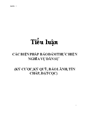 Tiểu luận Các biện pháp bảo đảm thực hiện nghĩa vụ dân sự (ký cược, ký quỹ, bảo lãnh, tín chấp, đặt cọc)