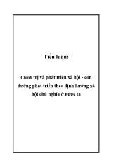 Tiểu luận Chính trị và phát triển xã hội - Con đường phát triển theo định hướng xã hội chủ nghĩa ở nước ta