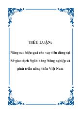 Tiểu luận Nâng cao hiệu quả cho vay tiêu dùng tại Sở giao dịch Ngân hàng Nông nghiệp và phát triển nông thôn Việt Nam