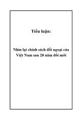 Tiểu luận Nhìn lại chính sách đối ngoại của Việt Nam sau 20 năm đổi mới