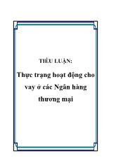 Tiểu luận Thực trạng hoạt động cho vay ở các Ngân hàng thương mại