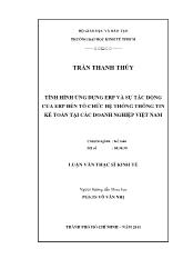 Tình hình ứng dụng ERP và sự tác động của ERP đến tổ chức hệ thống thông tin kế toán tại các doanh nghiệp Việt Nam