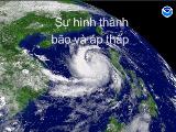 Sự hình thành bão và áp thấp