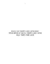 Báo cáo Nhiên liệu sinh học tình hình sử dụng nhiên liệu sinh học trên thế giới