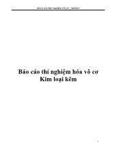 Báo cáo Thí nghiệm hóa vô cơ Kim loại kẽm