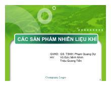 Các sản phẩm nhiên liệu khí