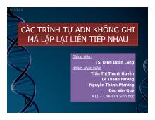 Các trình tự ADN không ghi mã lặp lại liên tiếp nhau