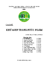 Chuyên đề Khử ASEAN trong nước ngầm