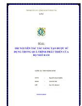Đề tài Các nguyên tắc tắc sáng tạo được sử dụng trong quá trình phát triển của bộ nhớ ram