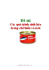 Đề tài Các quá trình sinh hóa trong chế biến cá mòi