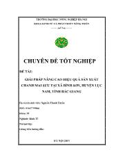 Đề tài Giải pháp nâng cao hiệu quả sản xuất chanh mai sưu tại Xã Bình Sơn, Huyện Lục Nam, Tỉnh Bắc Giang