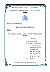 Đề tài Ô nhiễm kênh rạch ở thành phố Hồ Chí Minh