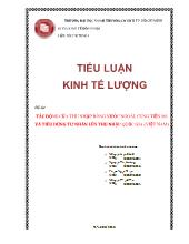 Đề tài Tác động của thu nhập ròng nước ngoài, cung tiền M1 và tiêu dùng tư nhân lên thu nhập quốc gia (Việt Nam)