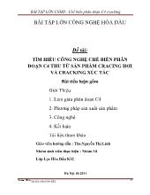 Đề tài Tìm hiểu công nghệ chế biến phân đoạn C4 thu từ sản phẩm cracing hơi và cracking xúc tác