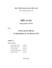 Đề tài Tổng quan chung về hiệp định tự vệ trong WTO