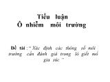 Đề tài Xác định các thông số môi trường cần đánh giá trong lò giết mổ gia súc