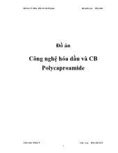 Đồ án Công nghệ hóa dầu và CB Polycaproamide