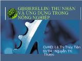 Gibberellin: thu nhận và ứng dụng trong nông nghiệp