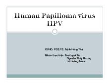 Human Papilloma virus HPV