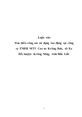 Luận văn Tìm hiểu công tác sử dụng lao động tại công ty TNHH MTV Cao su Krông Buk, xã Ea Hồ, huyện Krông Năng, tỉnh Đắk Lắk