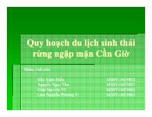 Quy hoạch du lịch sinh thái rừng ngập mặn Cần Giờ
