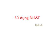 Sử dụng BLAST