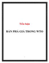 Tiểu luận Bán phá giá trong WTO