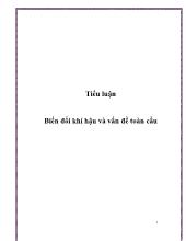 Tiểu luận Biến đổi khí hậu và vấn đề toàn cầu