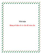 Tiểu luận Bùng nổ dân số và vấn đề toàn cầu