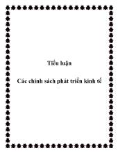 Tiểu luận Các chính sách phát triển kinh tế