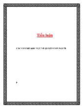 Tiểu luận Các cơ chế khu vực về quyền con người