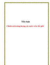 Tiểu luận Chính sách năng lượng các nước trên thế giới