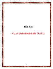 Tiểu luận Cơ sở hình thành khối NATO