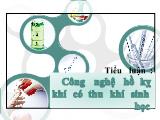 Tiểu luận Công nghệ hồ kỵ khí có thu khí sinh học