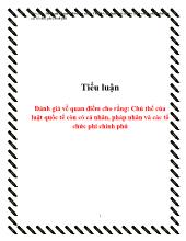Tiểu luận Đánh giá về quan điểm cho rằng: Chủ thể của luật quốc tế còn có cá nhân, pháp nhân và các tổ chức phi chính phủ