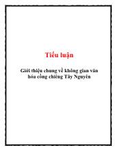Tiểu luận Giới thiệu chung về không gian văn hóa cồng chiêng Tây Nguyên