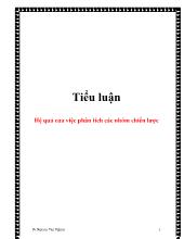 Tiểu luận Hệ quả của việc phân tích các nhóm chiến lược