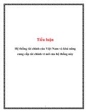 Tiểu luận Hệ thống tài chính của Việt Nam và khả năng cung cấp tài chính vi mô của hệ thống này
